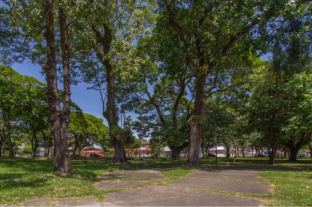 Casa para venda no bairro Vila Ipiranga em Porto Alegre