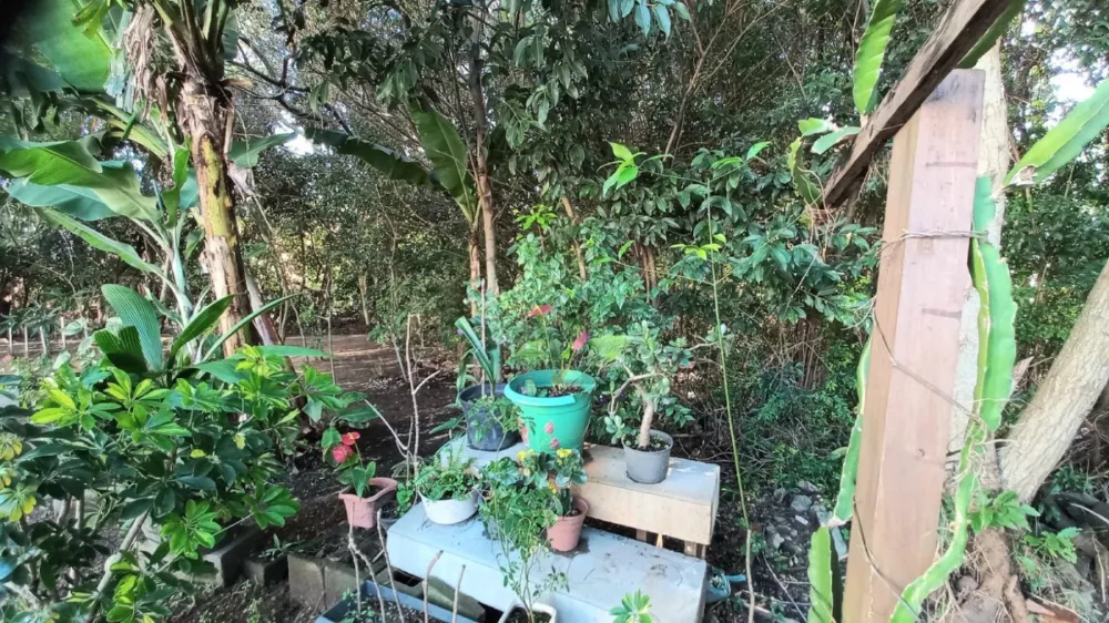 APARTAMENTO COM 3 DORMITÓRIOS E 2 VAGAS