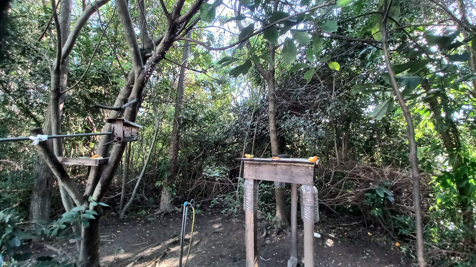 APARTAMENTO COM 3 DORMITÓRIOS E 2 VAGAS