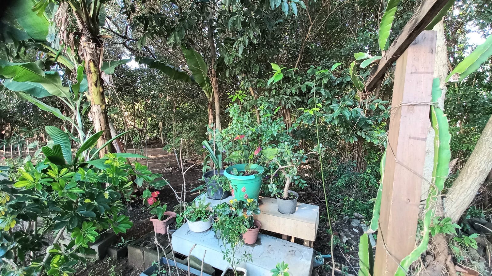 APARTAMENTO COM 3 DORMITÓRIOS E 2 VAGAS